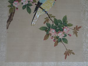 Niet of onleesbaar gesigneerd - Ingelijste aquarel op zijde, Japan? China? , Papagaai kopen? Bied vanaf 1!