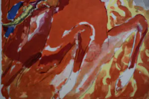 Kees van Dongen - Houtgravure - Le Prince Sharkan au combat kopen? Bied vanaf 50!