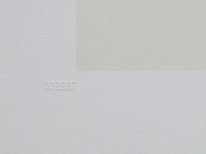 Peter Vos - Oude Man met Uil - Litho kopen? Bied vanaf 100!