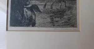 Enno Brokke - Twee paarden kopen? Bied vanaf 40!