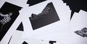 Stijn Peeters - Serie van 73 linosnedes 2003-2005 kopen? Bied vanaf 450!