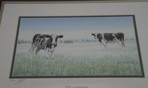 Wiebe A. van der Zee - Koeien in de weide kopen? Bied vanaf 5!