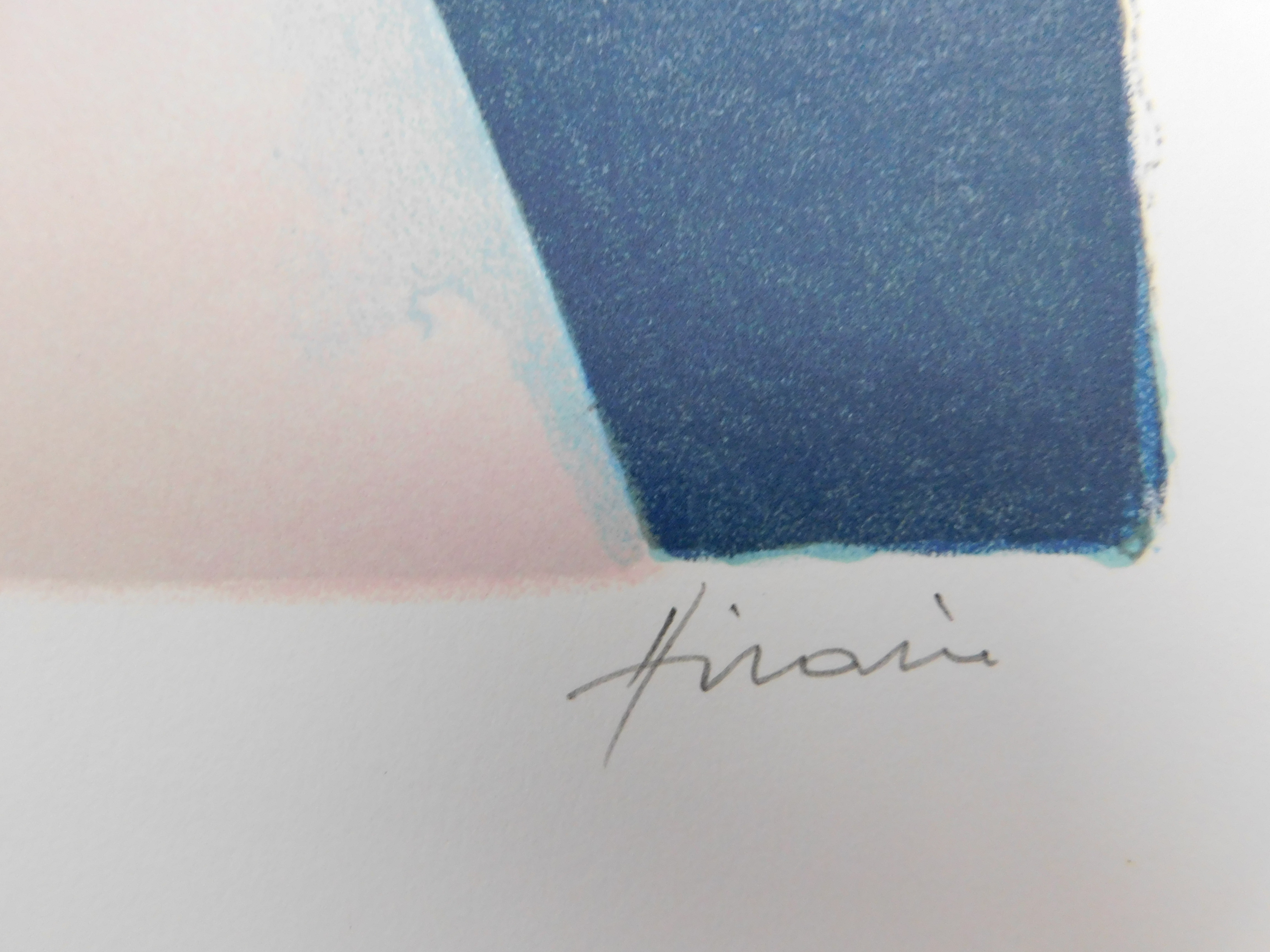 Camille Hilaire - Fleurs IV kopen? Bied vanaf 35!