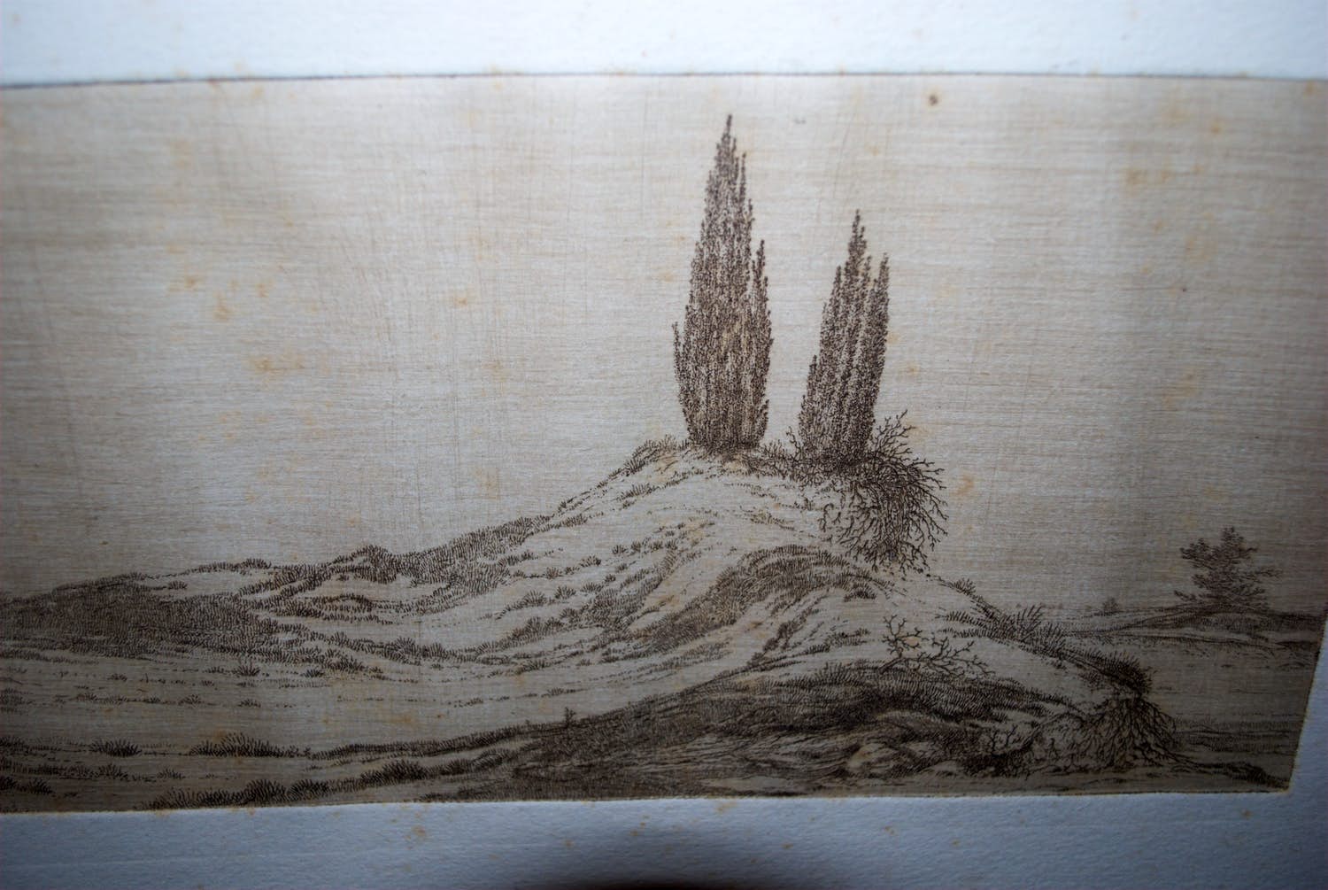 Niet of onleesbaar gesigneerd - jeneverbessen in duinlandschap - fraai uitgewerkte ets ca. 1900 kopen? Bied vanaf 1!