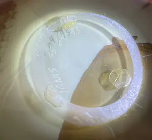 Misha Ignis - Unique glasobject” Waking up in Sahara Matmata “ van Misha Ignis kopen? Bied vanaf 450!