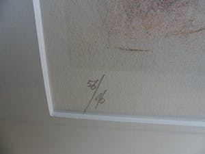 Piet Klaasse - Ingelijste litho , Sarah Vaughan – gesigneerd - 1992 kopen? Bied vanaf 80!