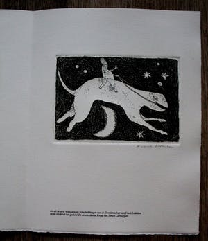 Frank Lodeizen - Ets: Vreugden en Verschikkingen... kopen? Bied vanaf 49!