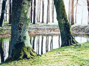 Wanda Werner - 2 x GRONINGEN, GRACHT MET BOMEN en GRONINGEN, WATERKANTEN verkocht voor € 35!