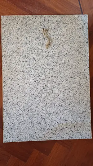 Frans de Groen - Stokvisbrug aan de Delftsevaart (Rotterdam) voor 1940 kopen? Bied vanaf 25!