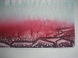 Ries Kleijnen - Vallei van Ihlara - Turkije kopen? Bied vanaf 75!