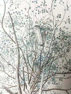 Wim van der Meij - Boom en lantaarnpaal kopen? Bied vanaf 75!