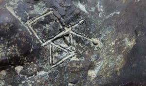 Wim Steins - Moderne compositie met stier in brons en ijzer kopen? Bied vanaf 1000!