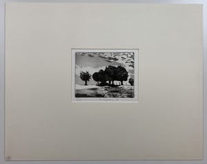 Nicolaas Wijnberg - ets - 'Landschap met bomen' - 1978 - Oplage slechts 12 stuks! kopen? Bied vanaf 49!