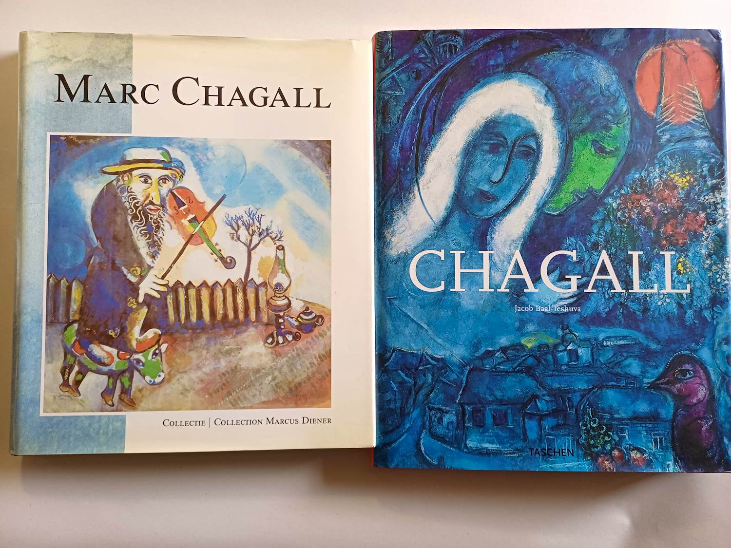 Marc Chagall - Boeken kopen? Bied vanaf 50!