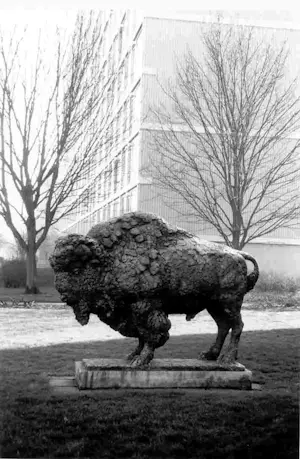 Pieter d' Hont - Bronzen beeld: 'bizon' - 1981 kopen? Bied vanaf 1500!