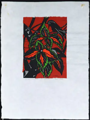 Gunther Borst - Linosnede, Plant en vogel kopen? Bied vanaf 1!