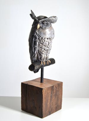 Tosca van Oorschot - Maleise Oehoe kopen? Bied vanaf 150!