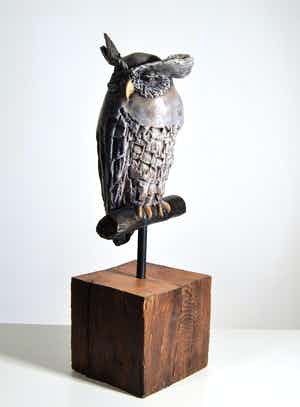 Tosca van Oorschot - Maleise Oehoe verkocht voor € 150!