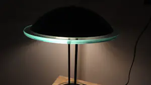 Herda - Mushroom kopen? Bied vanaf 50!