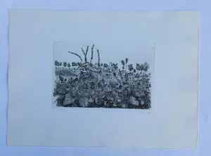 Willem Minderman - landschap met dorpje op achtergrond - jaren '70 kopen? Bied vanaf 45!
