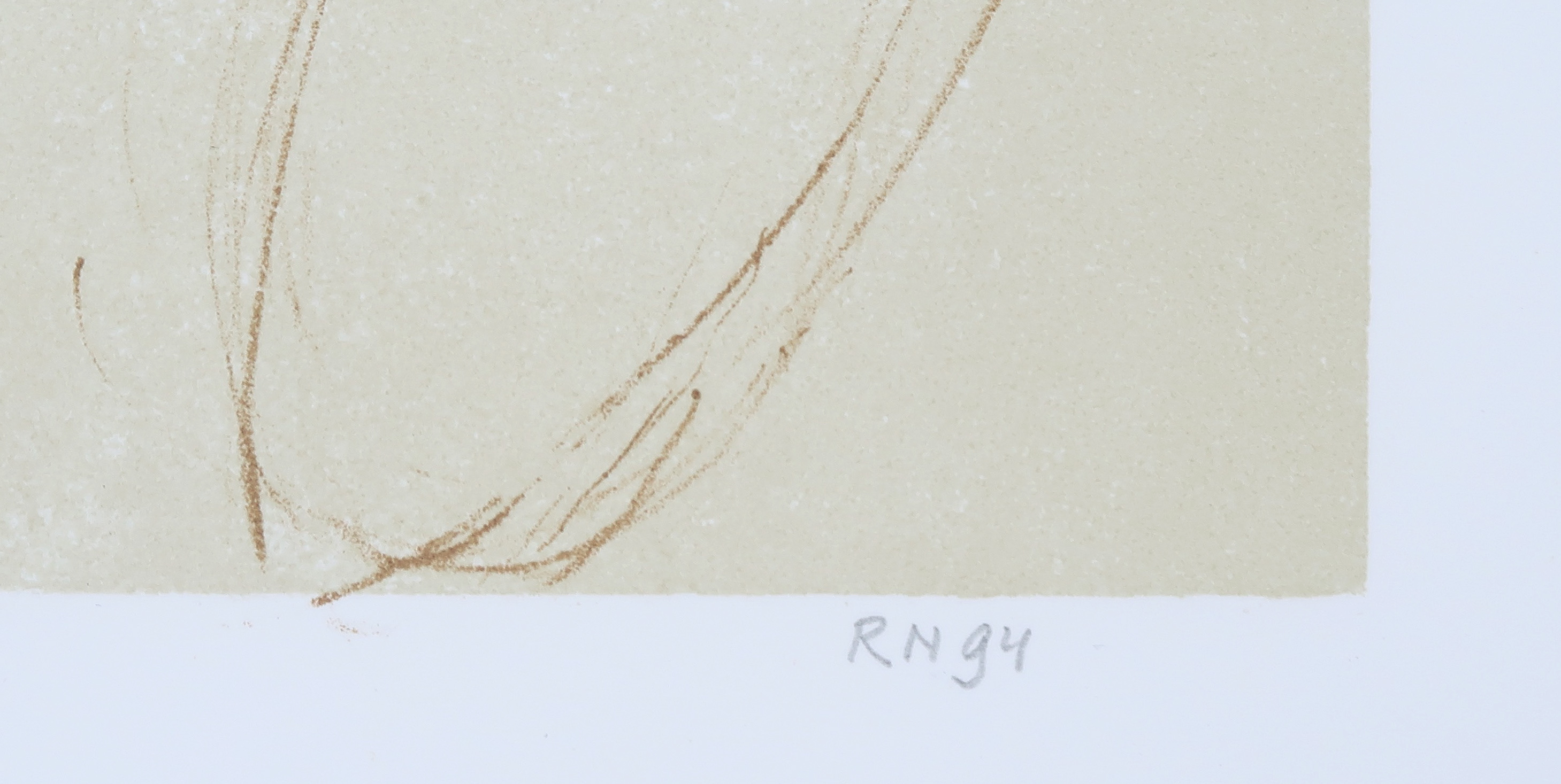 Ronald Noorman - Litho, In het land der blinden kopen? Bied vanaf 50!