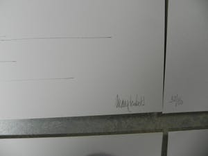 Maarten Beks - Reisdagen kopen? Bied vanaf 1!