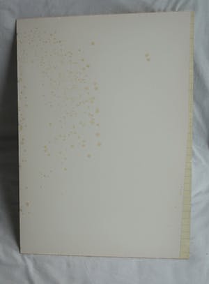 Willem H.A. Teeling - “Blauwe katten” - 1989 – nr. 2 van 50 ex. kopen? Bied vanaf 1!