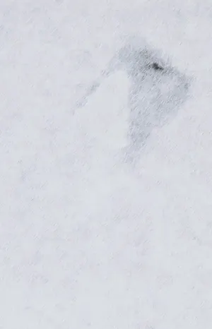 Tjeng Sit Oey - Linosnede op Japans papier, Lachende vinger kopen? Bied vanaf 40!