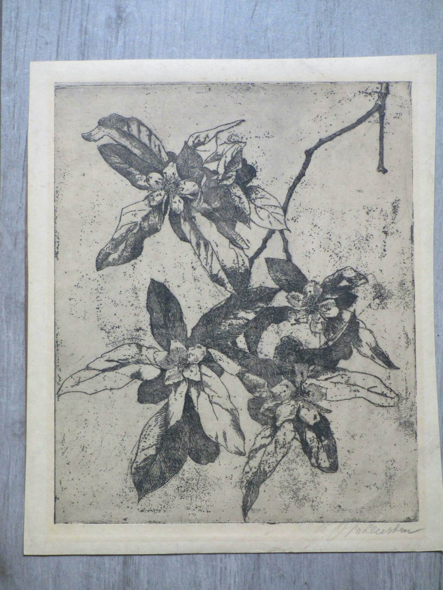 Willem van Leusden - Bloeiende tak - Ets verkocht voor € 48!