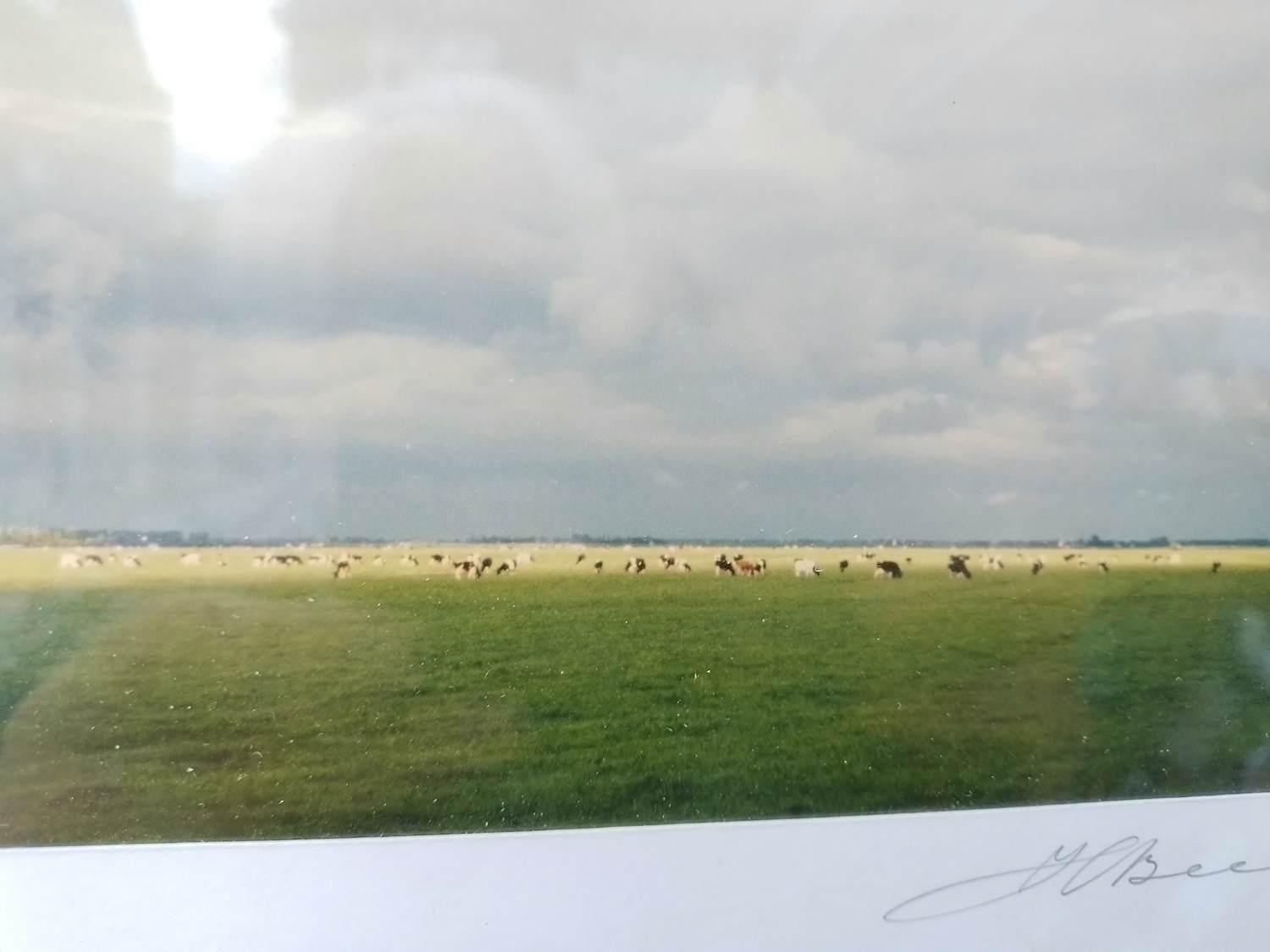 Buy Henk Beeuwkes - Gaasterland Friesland Koeien? Bid from 110!