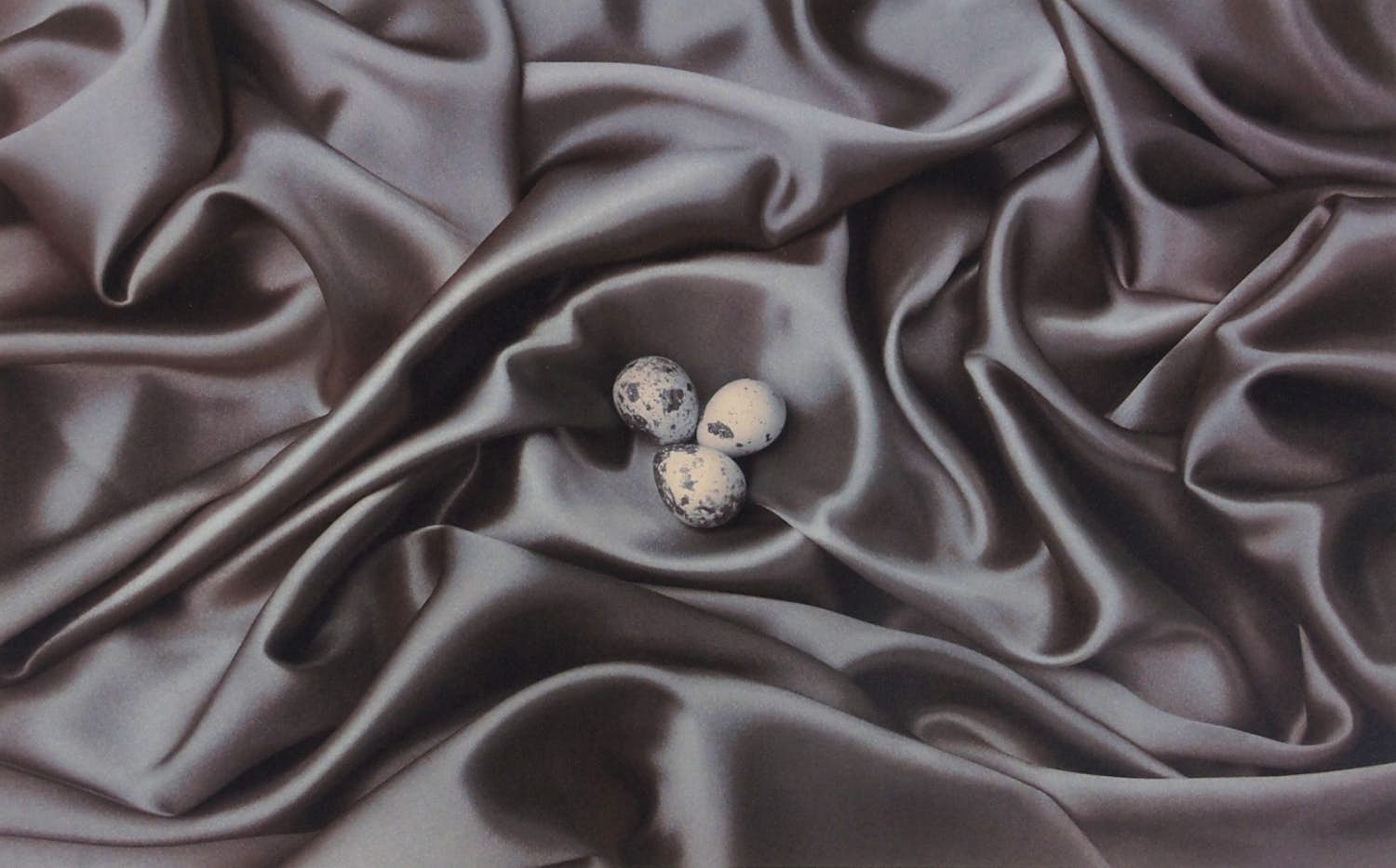 Dominic Rouse - Nest Eggs (2011) - GRATIS VERZENDING kopen? Bied vanaf 70!