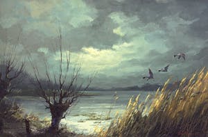 Herman Wijngaard - C5081, Plasgezicht met opvliegende eenden kopen? Bied vanaf 350!