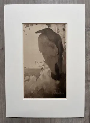 Jan Mankes - Originele Heliogravure Raaf in Berkenboom 1923 kopen? Bied vanaf 165!