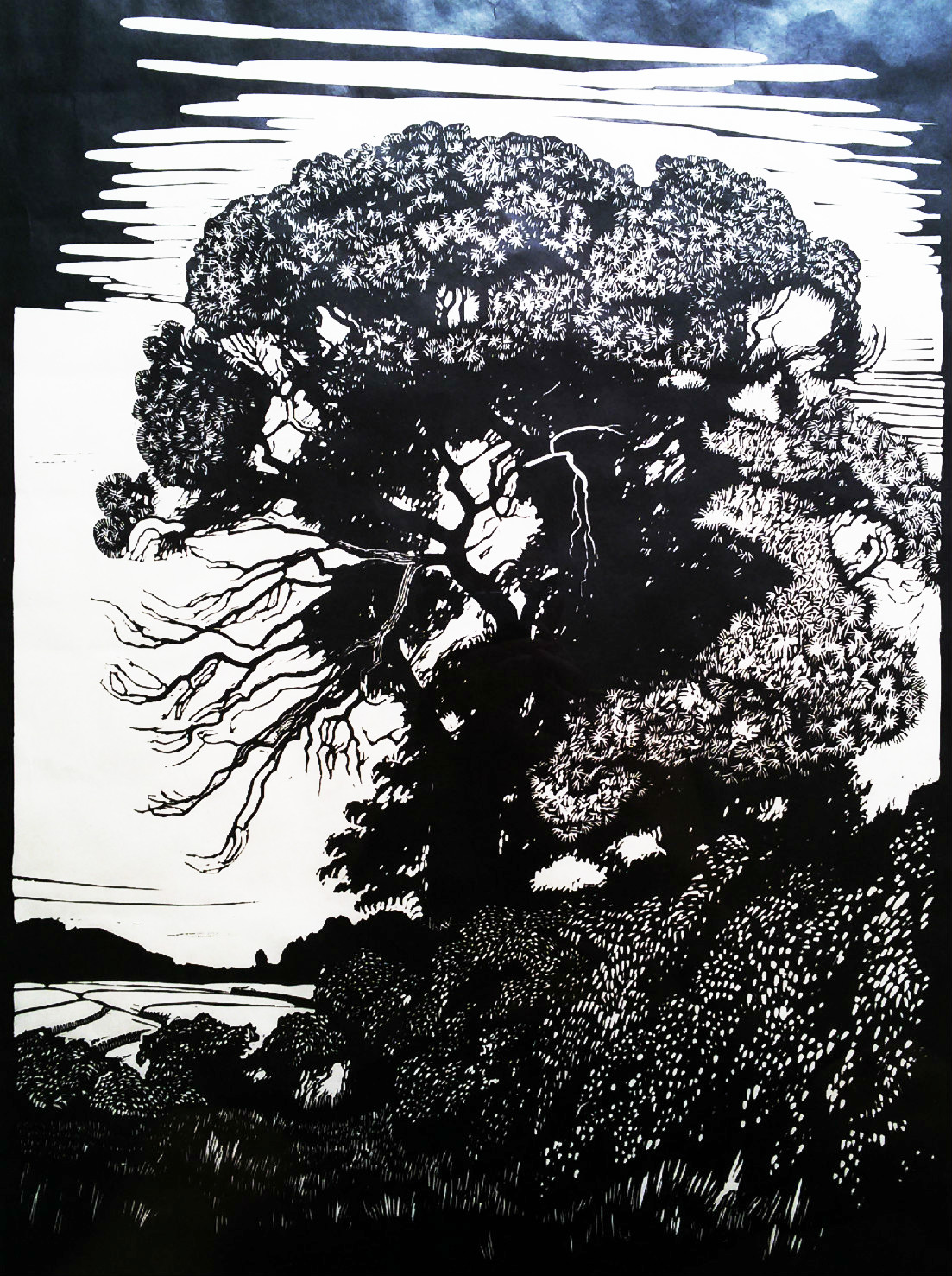 Eugene Lucker - Boom van Lücker, linosnede (ingelijst) verkocht voor € 60!