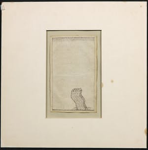 Pim Leefsma - Pentekening, Zonder titel kopen? Bied vanaf 35!