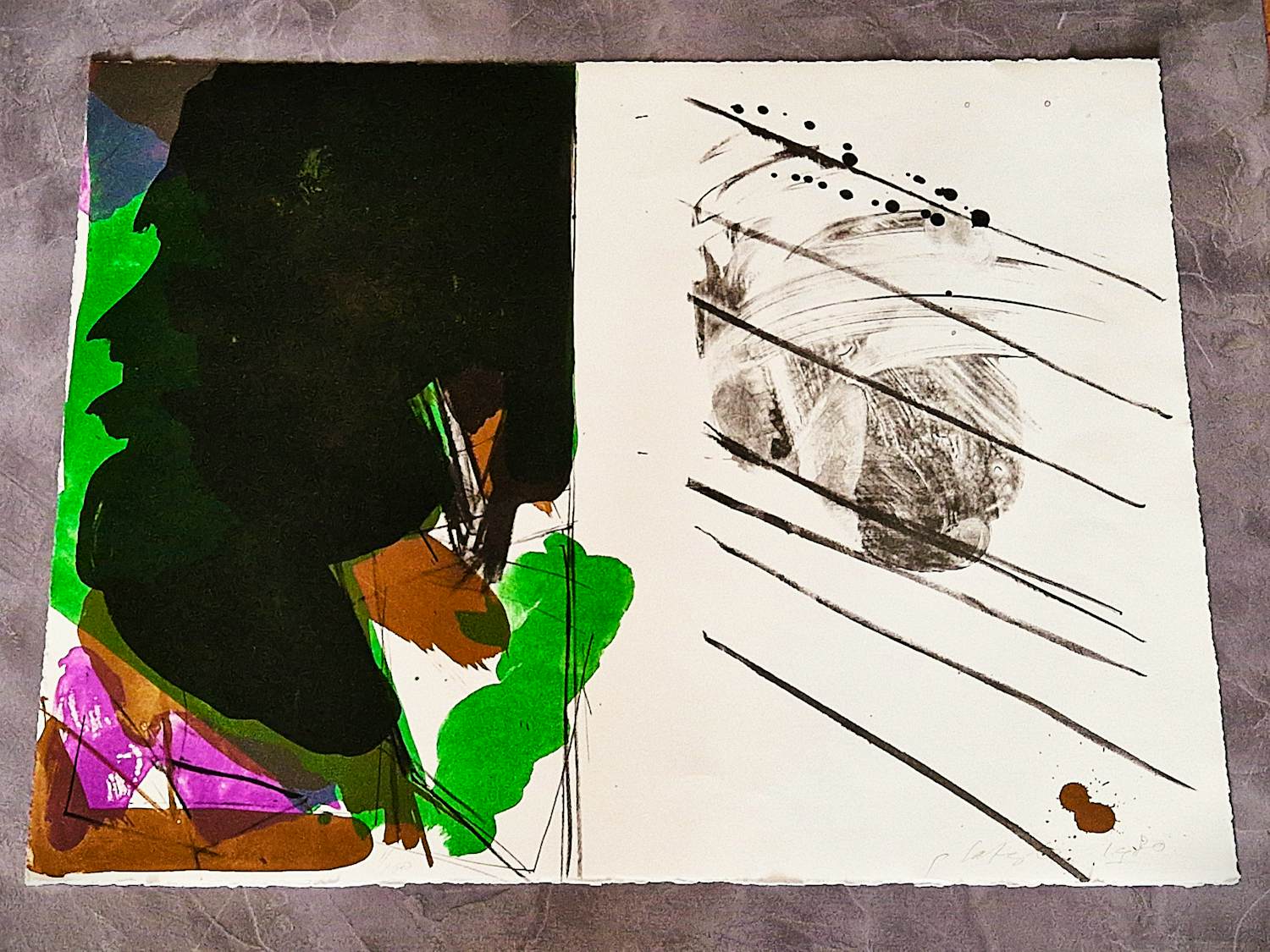 Buy Ger Lataster - Grote kleuren lithografie in lila groen en bruin - nr 1 van 100 - gesigneerd? Bid from 57!
