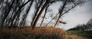 Ellen Kooi - Foto, Muiderzand - Wind (Groot) kopen? Bied vanaf 400!
