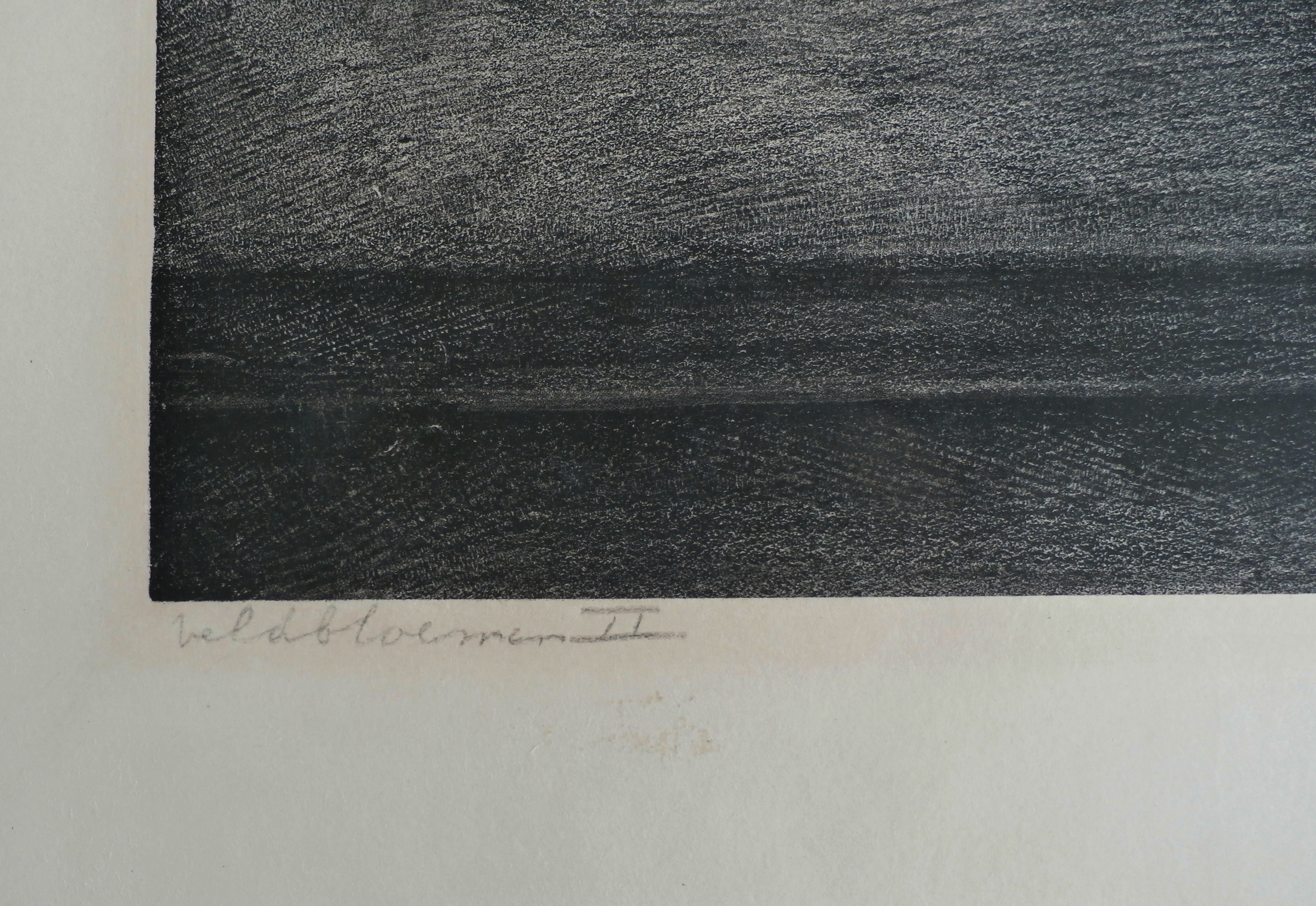 Aart van Dobbenburgh - Litho: Veldbloemen II - 1932 kopen? Bied vanaf 35!