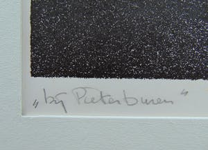 Sjouke Heins - Bij Pieterburen kopen? Bied vanaf 60!