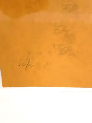 Cole Morgan - Zeefdruk, Compass East - Ingelijst kopen? Bied vanaf 200!