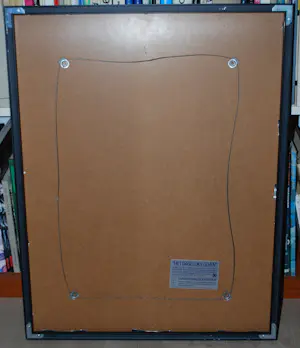 Jeroen Henneman - Uit het leven der dingen: een kanarie - zeefdruk - mooi ingelijst kopen? Bied vanaf 150!