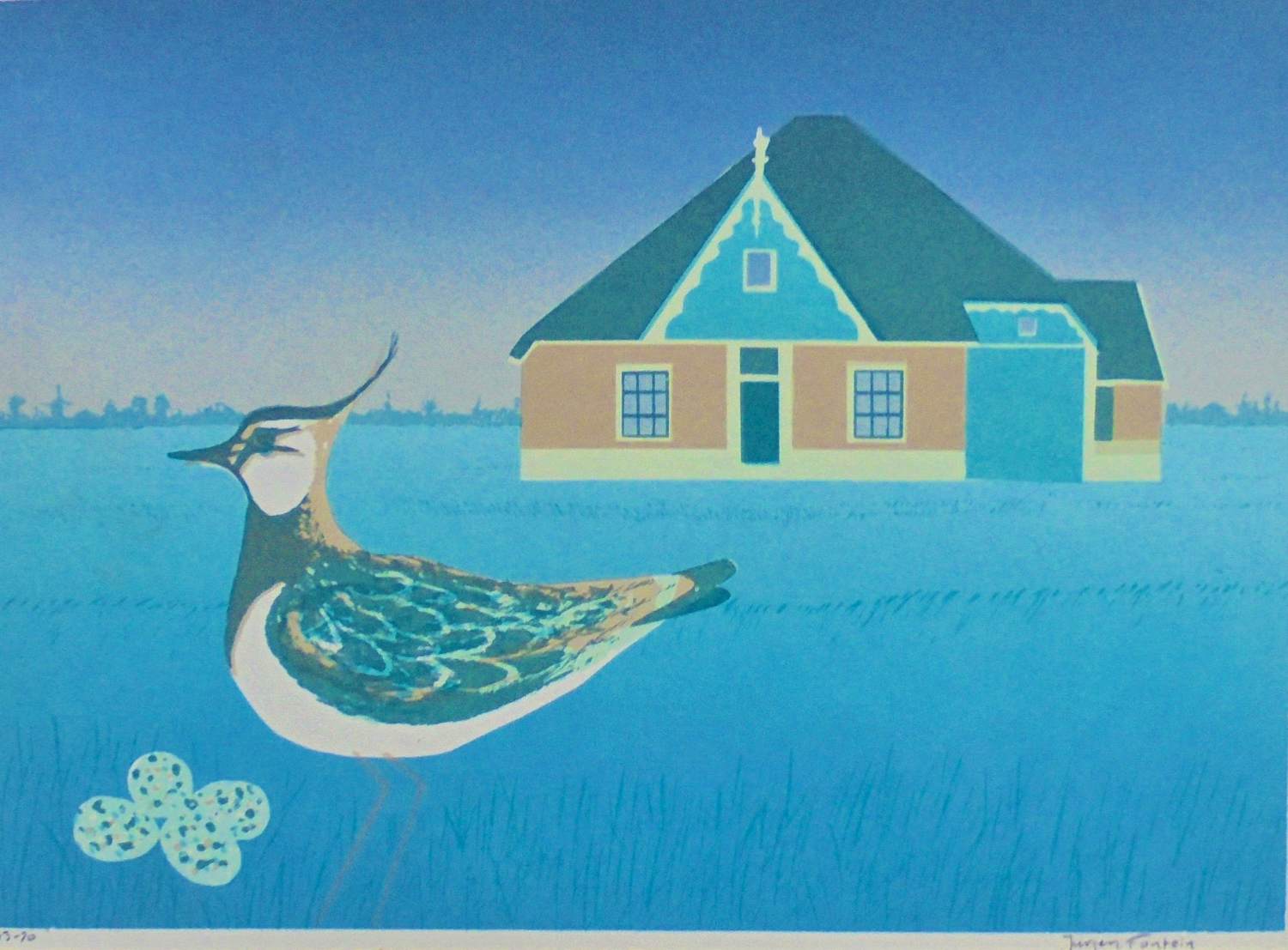 Jurjen Fontein - kievit bij boerderij. Prachtig van kleur! kopen? Bied vanaf 75!