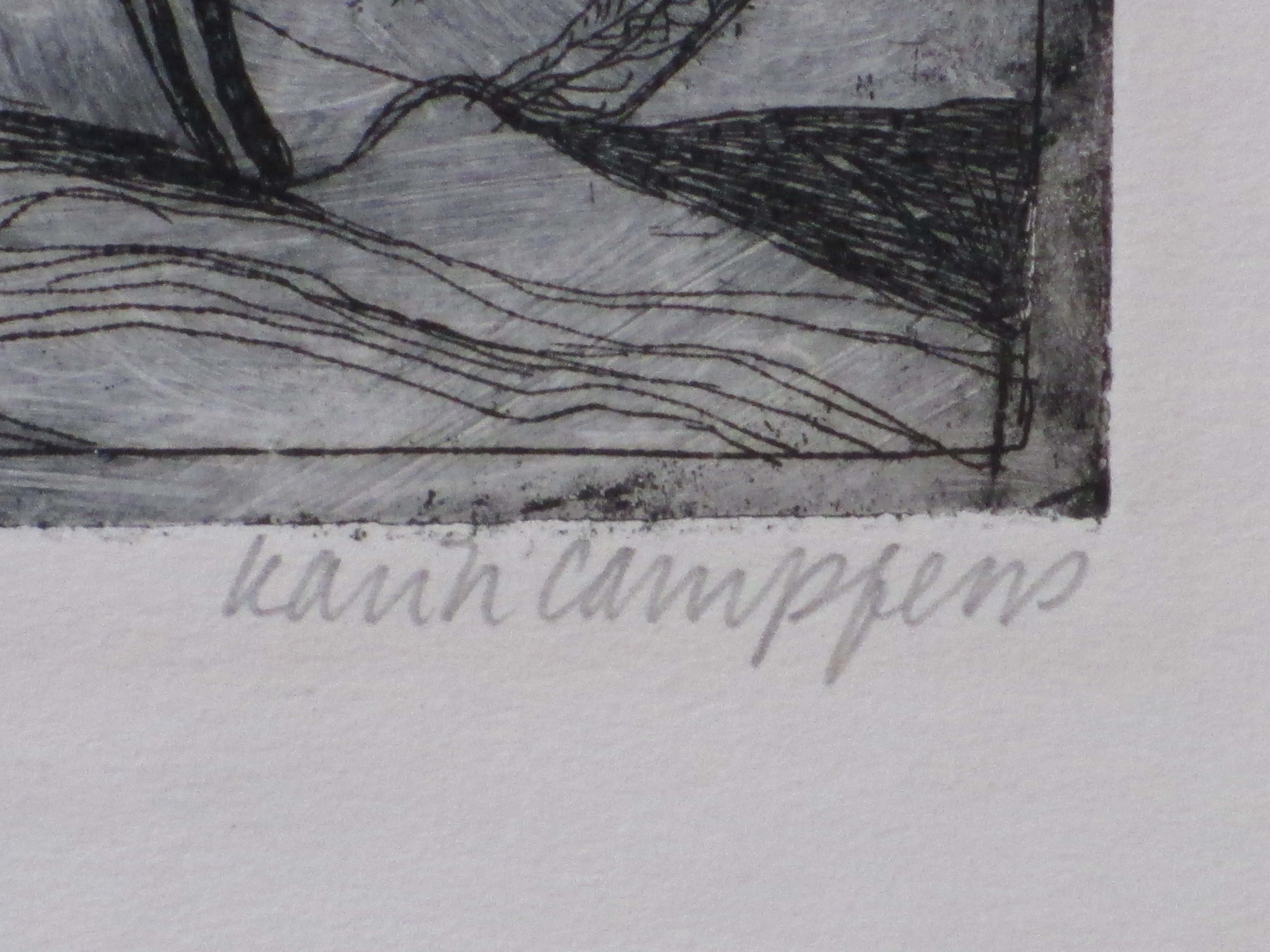 Karin Campfens - Visse(rs)(n)leven - Kleurets kopen? Bied vanaf 35!