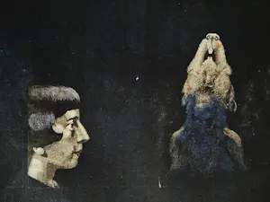 Peter Bes - Grote & unieke - 1980 - artist proof Ets/aquatint "Hotel du Lac" met opdracht kopen? Bied vanaf 1!