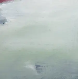 Han le Roy - Acryl op doek, Zwier - Ingelijst (Zeer groot) kopen? Bied vanaf 200!