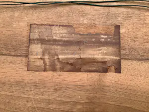 Hubert Bekman - Paarden kopen? Bied vanaf 155!