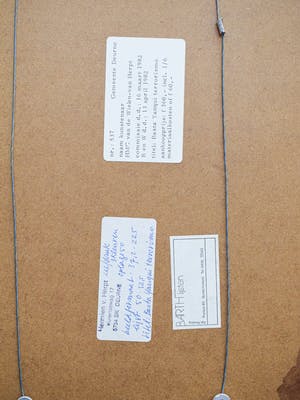 Hermien van Herpt - Basta Yanqui terrorismo kopen? Bied vanaf 1!