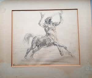 Peter Vos - Metamorfose verkocht voor € 20!