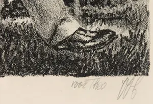 Peter Vos - Litho, The Old Man of Whitehaven - Ingelijst kopen? Bied vanaf 150!