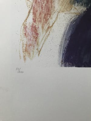 Jan Peter van Opheusden - Liggend naakt - steendruk kopen? Bied vanaf 1!